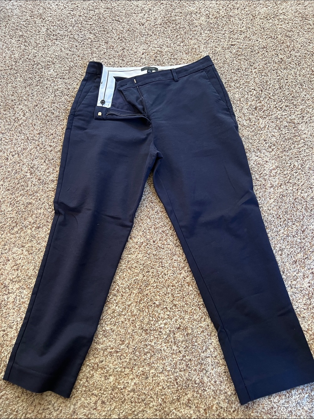 Ann Taylor Navy Cropped Ankle Pants